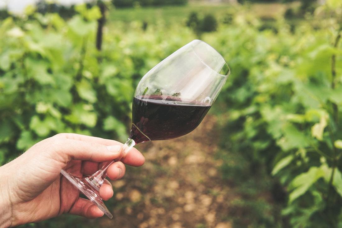 Hvad er forskellen på vin og portvin?
