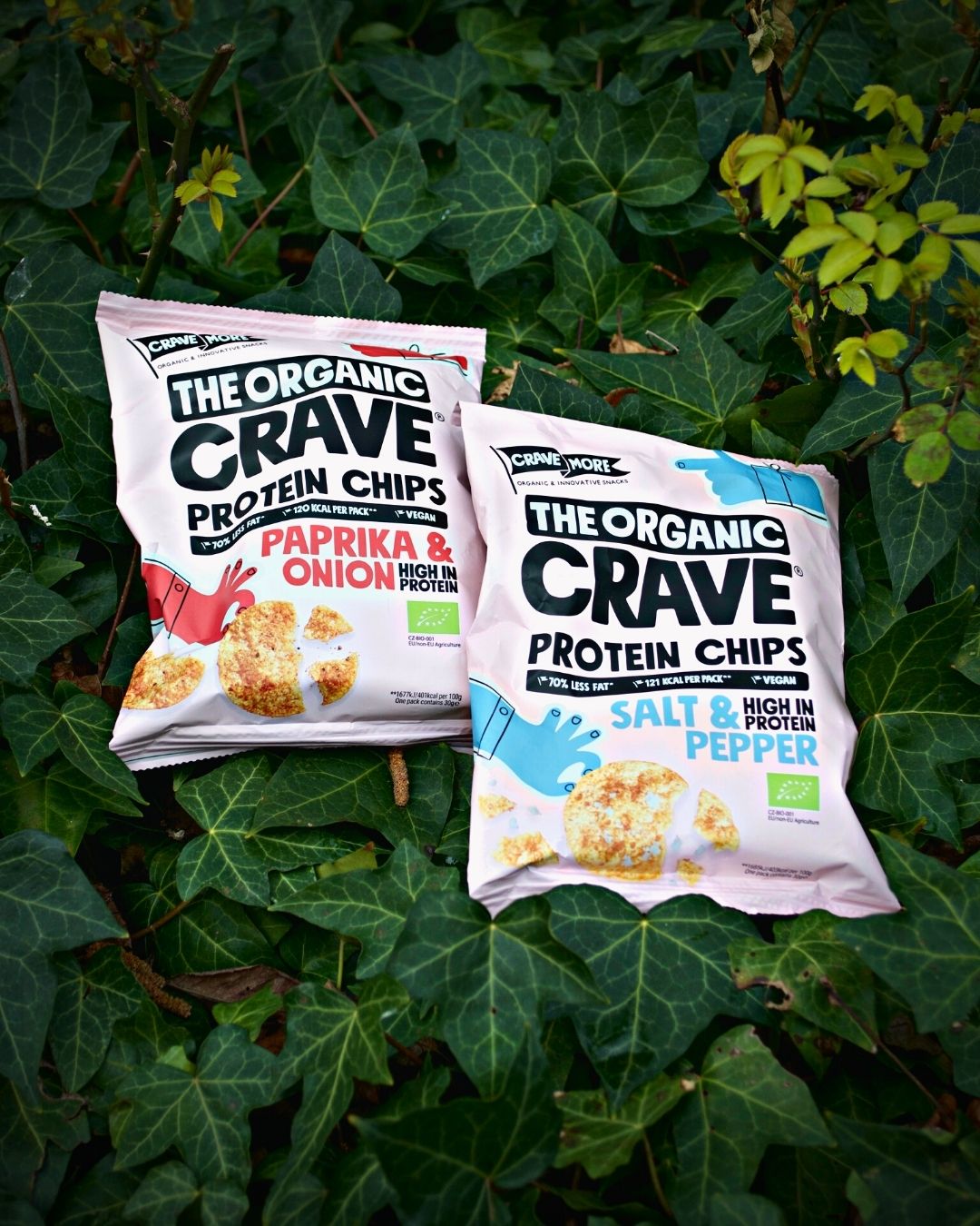 The Organic Crave chips